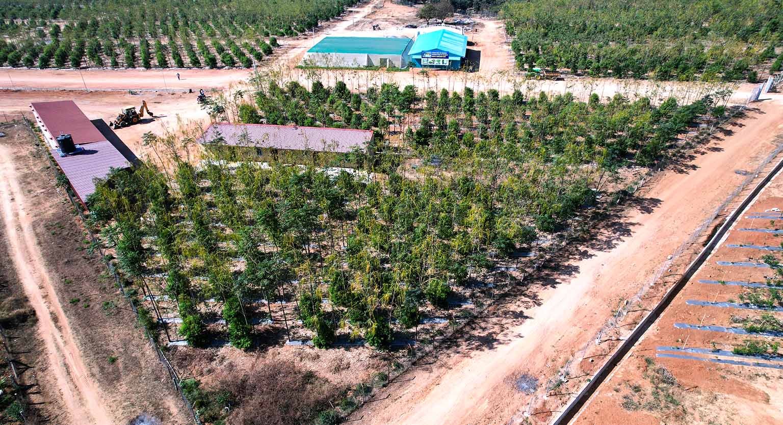 usm-infra-go valley-sandalwood-dtcp-plots-salvapur-4