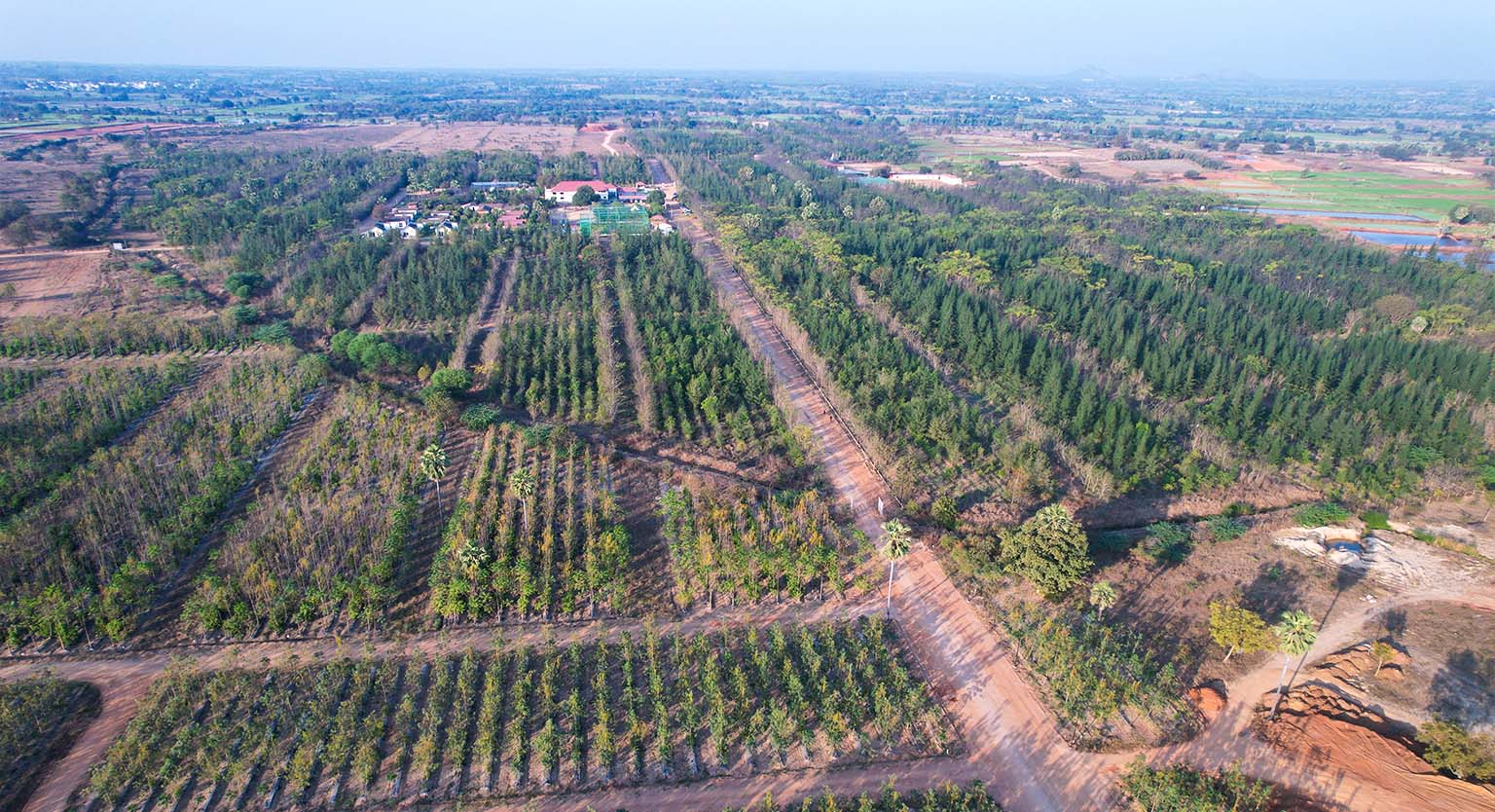 usm-infra-go-ranch-resort-sandalwood-dtcp-plots-2