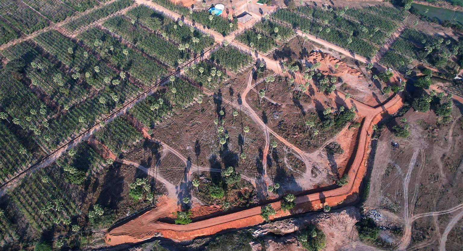 usm-infra-go-ranch-resort-sandalwood-dtcp-plots-3