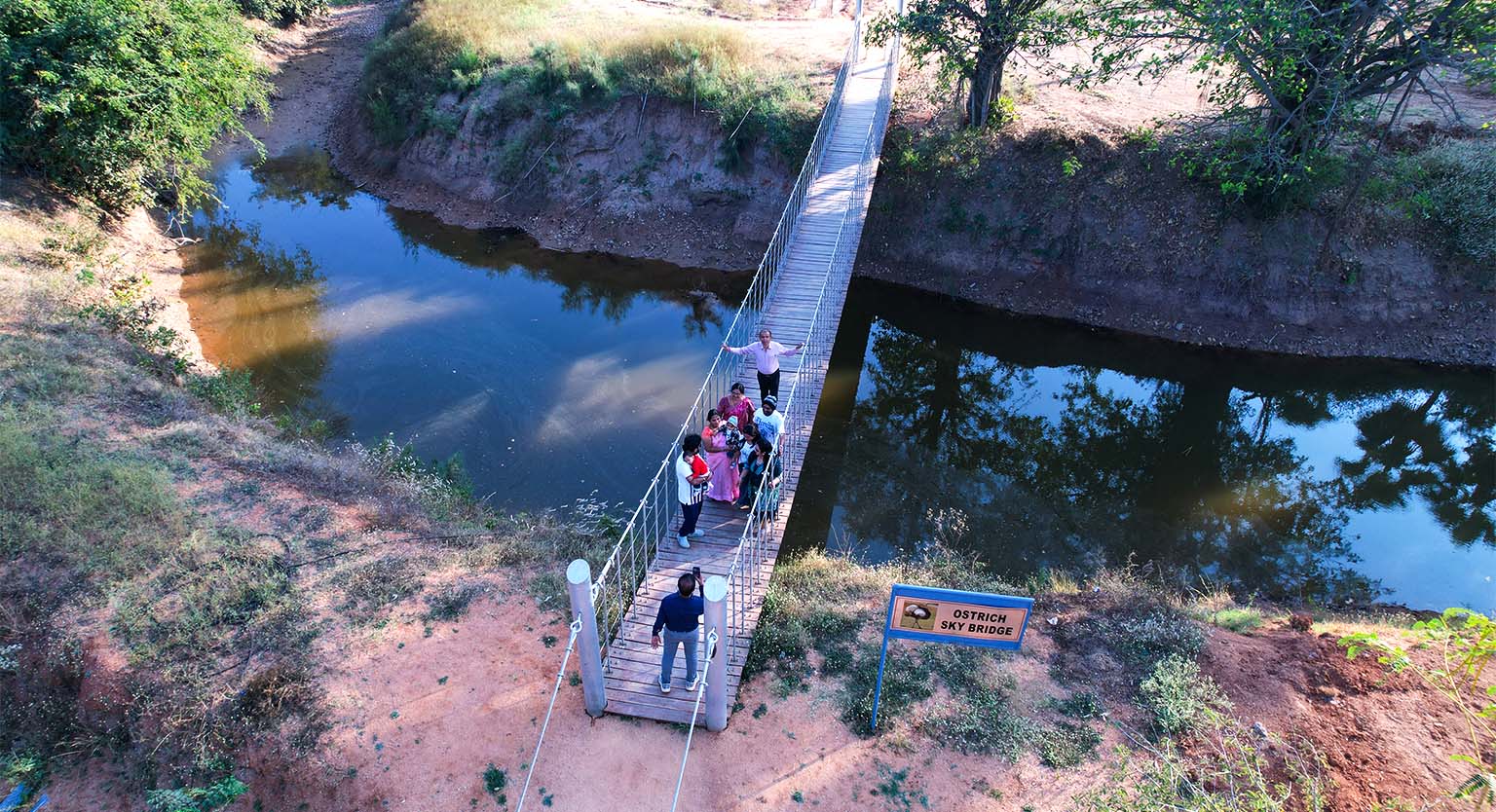 usm-infra-go-ranch-resort-sandalwood-dtcp-plots-6