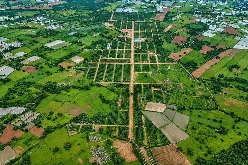 usm-infra-go-valley-sandalwood-dtcp-plots-1