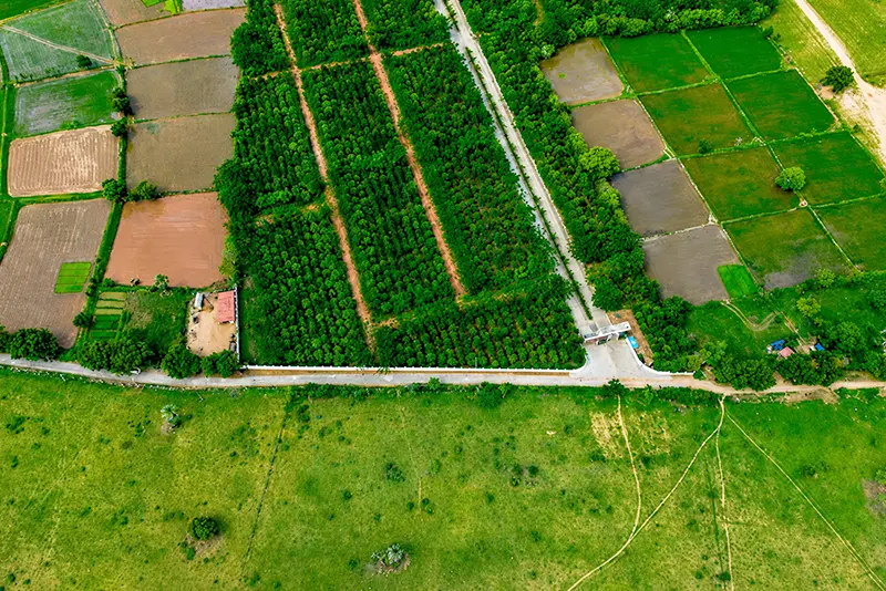 usm-infra-go-ranch-sandalwood-dtcp-plots-9