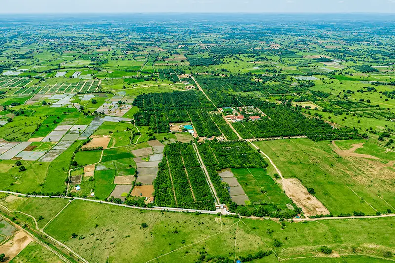 usm-infra-go-ranch-sandalwood-dtcp-plots-10
