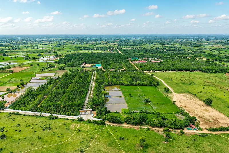 usm-infra-go-ranch-sandalwood-dtcp-plots-18